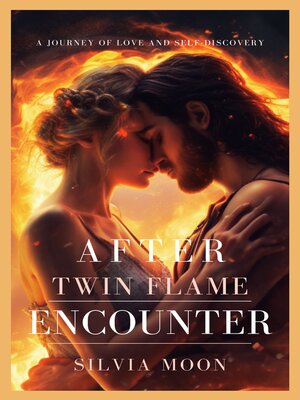 cover image of After the Twin Flame Encounter